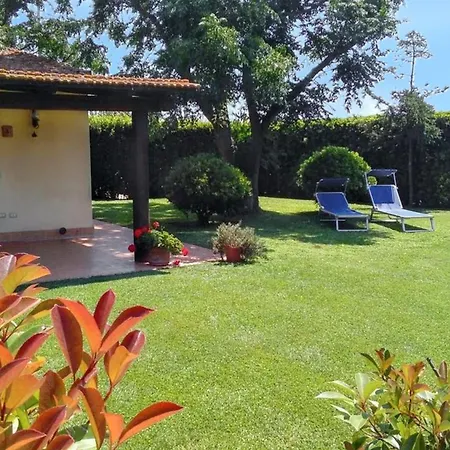 Comfortable House In *